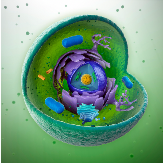 Parkinson's is a disorder of cellular health, not just low dopamine