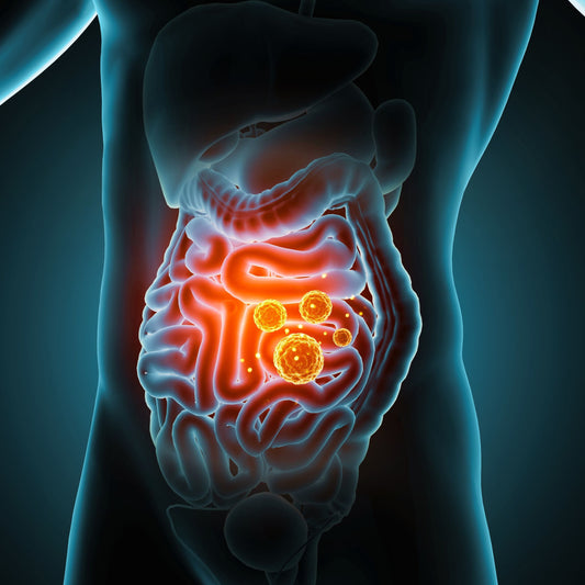 Potential benefits of light therapy for Inflammatory Bowel Disease (IBD)